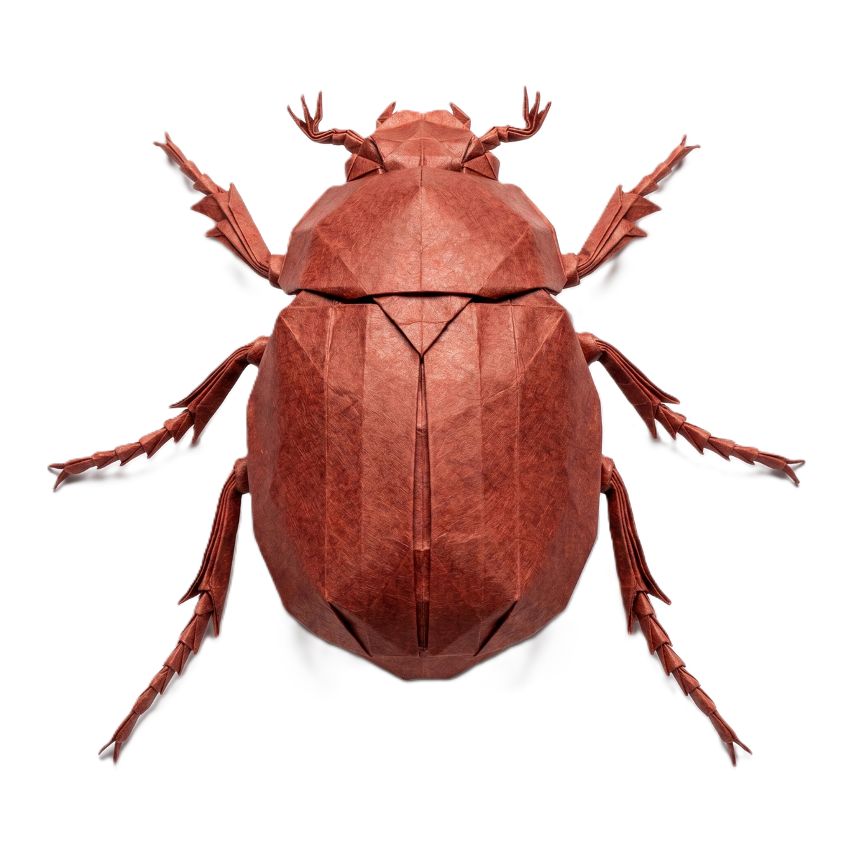 Hand-folded origami beetle in cream paper on a warm paper background — the Aichabelle Journal hero motif for an essay on indigenous botanical knowledge.