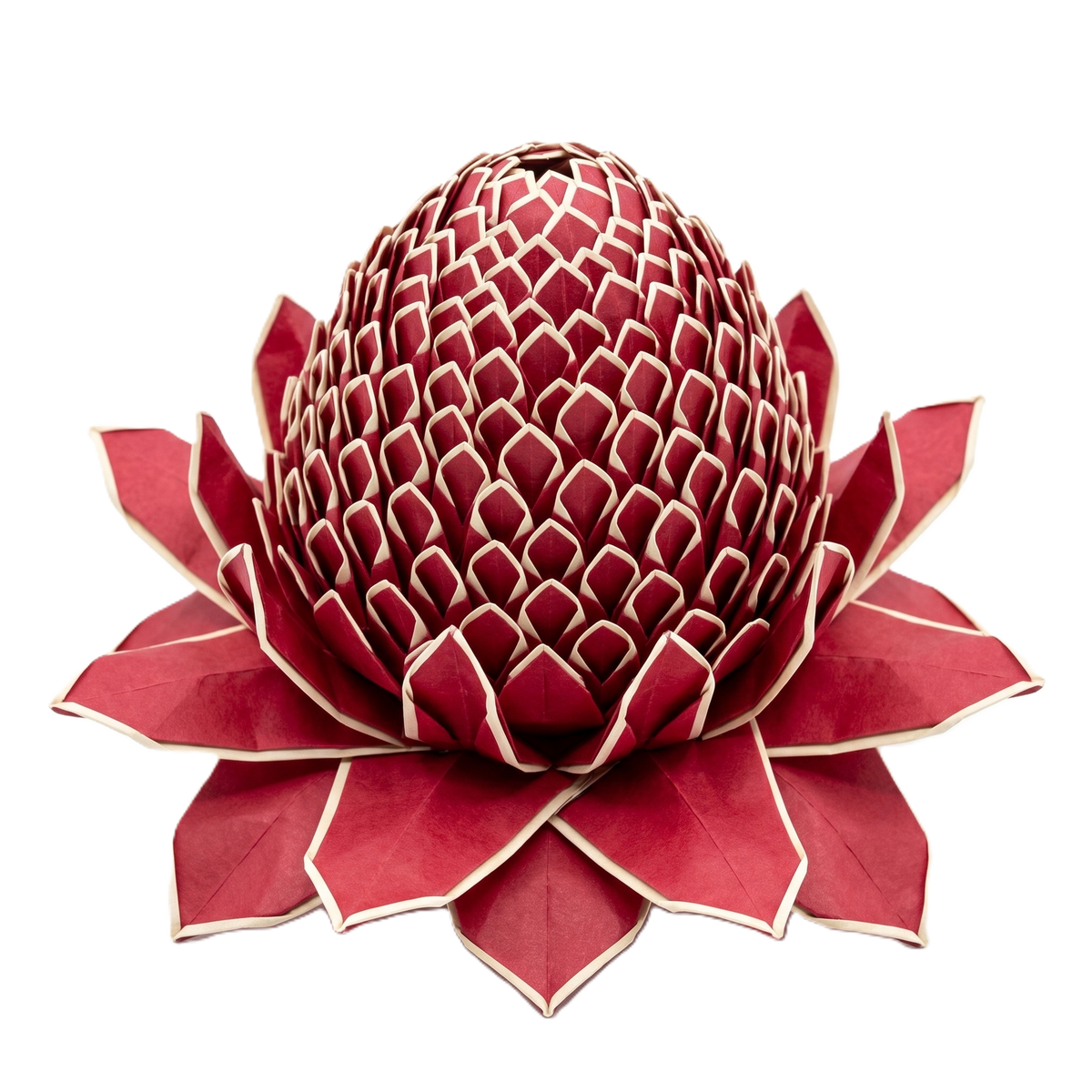 Origami flower — Silvavita