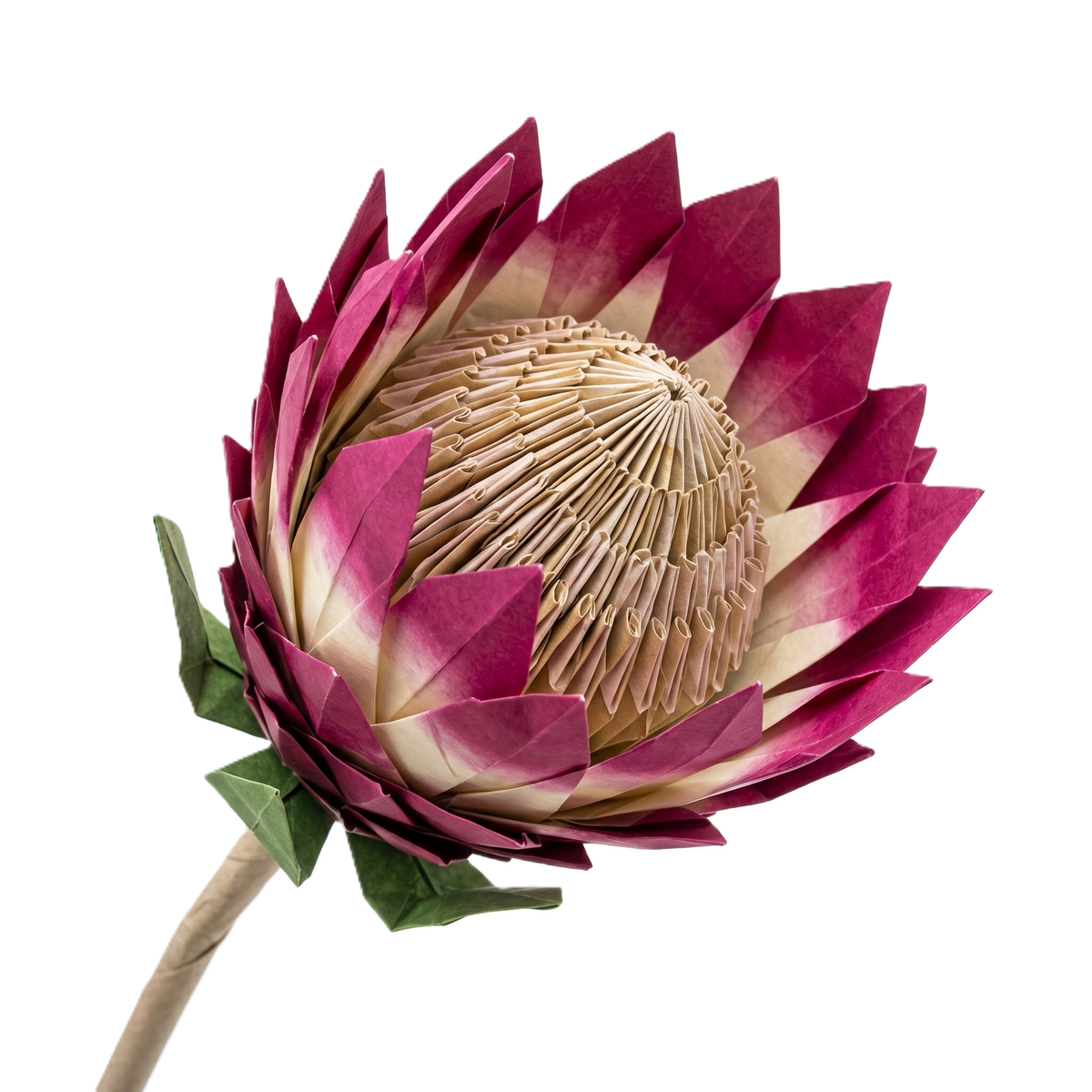 Origami flower — The Boson Principle
