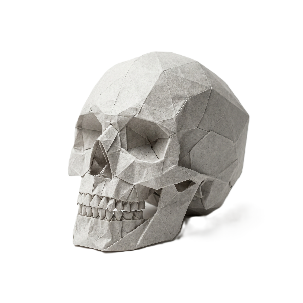 Origami paper skull on warm cream paper background — folded paper-craft as a memento mori for nature's long clinical trial.
