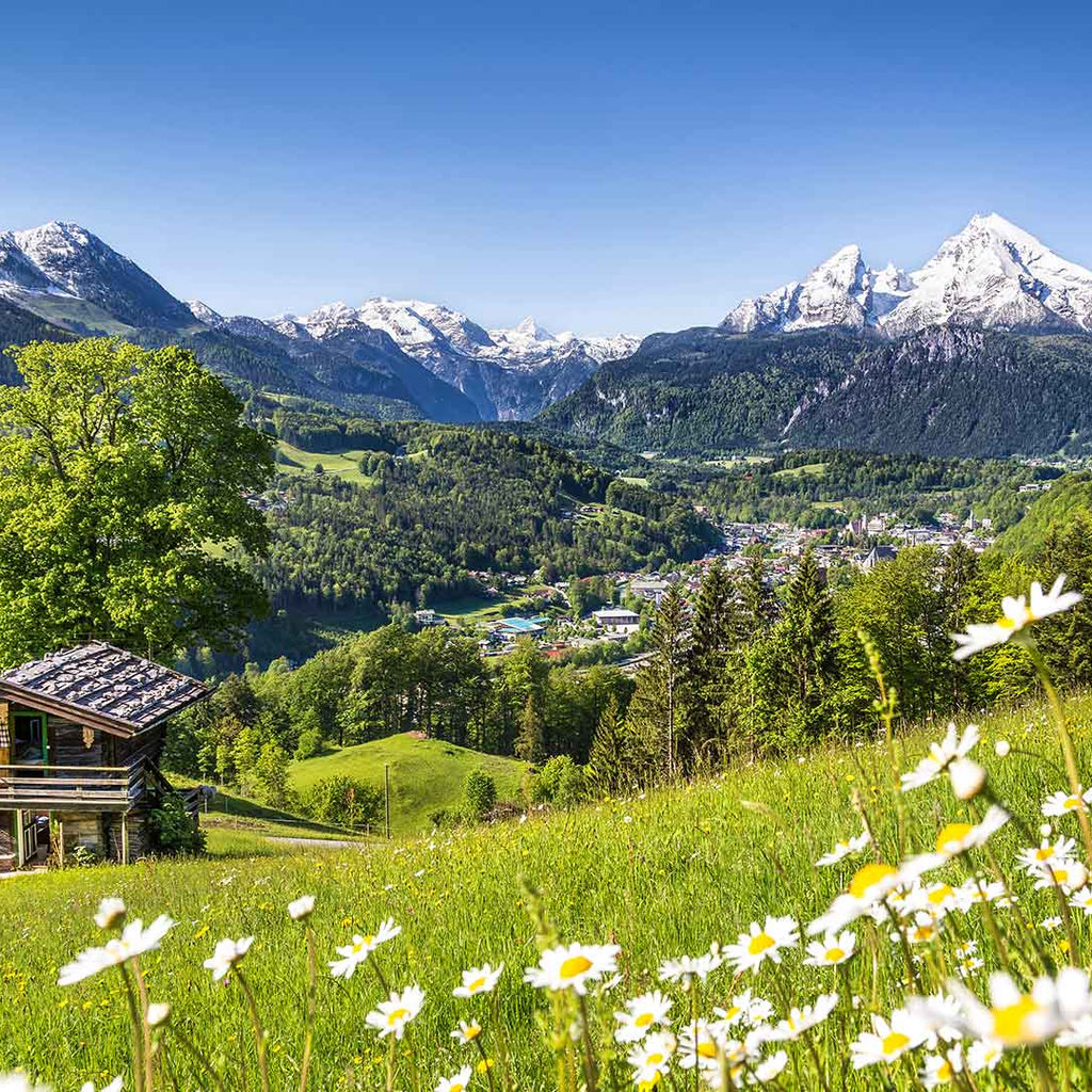 Scenic view of a mountainous landscape with a cabin, green fields, and snow-capped peaks.