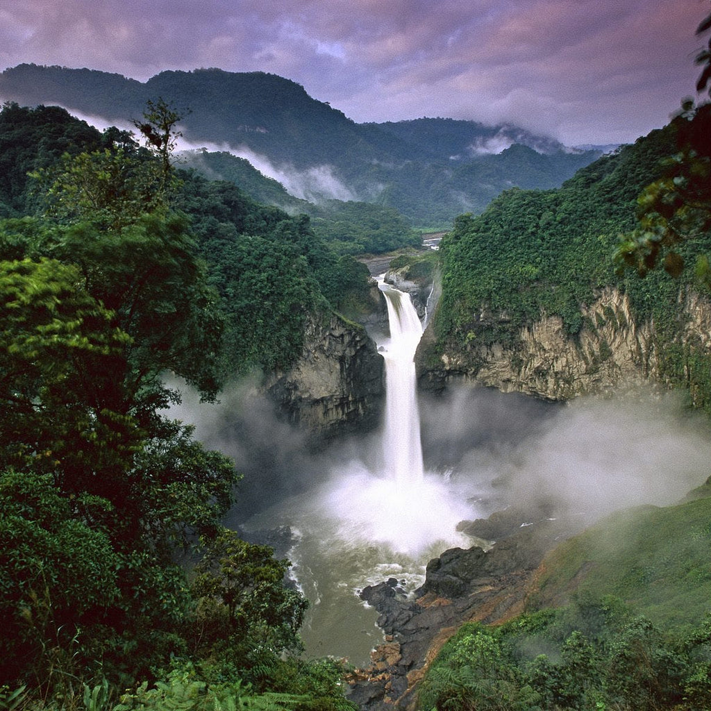 Waterfall in a lush green forest with mist rising from the base